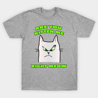 Are You Kitten Me Right Meow T-Shirt